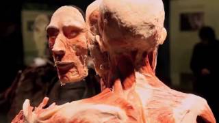 BODY WORLDS Vital [upl. by Darla]