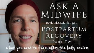 Ask A Midwife about Postpartum Recovery  part two  After the Babys Birth [upl. by Clo625]