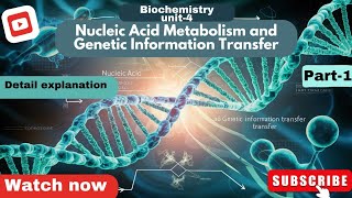 Nucleic acid metabolism and Genetic Information Transfer pharmacy dna education [upl. by Ogu]