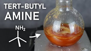 Making TertButylamine A Stinky Precursor to an Even Stinkier Isocyanide [upl. by O'Doneven]