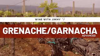 Grape Varieties GarnachaGrenacheCannonau Advanced Version for WSET L3 and 4 [upl. by Atisor]