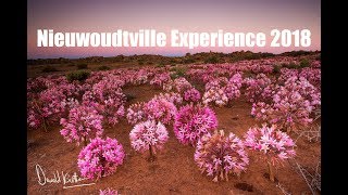 Landscape Photography  The Nieuwoudtville Experience Quiver trees and March Flowers [upl. by Isabelita555]