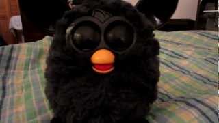 Furby 2012 Toy [upl. by Darleen236]