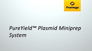 PureYield™ Plasmid Miniprep System [upl. by Leveridge]