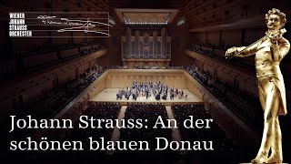 🎻 Johann Strauss II An der schönen blauen Donau  Walzer op 314  NYC2024  NewYearsConcert ♪♫ [upl. by Nnair]