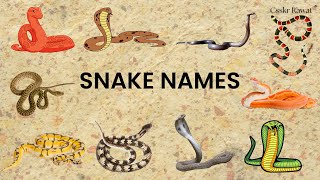 Snake Names  Snakes for kids  Snakes Name in English  List of Snakes  Snakes python cobra [upl. by Neerahs633]