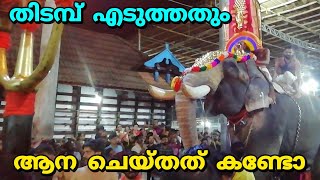 തിടമ്പ് എടുത്തതും ആന ചെയതത് കണ്ടോ  Angadippuram pooram 2024  thirumandhamkunnu pooram2024 [upl. by Alcock]