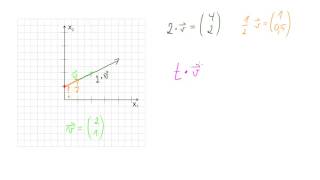 Vielfache von Vektoren  Einführung [upl. by Yanrahs]