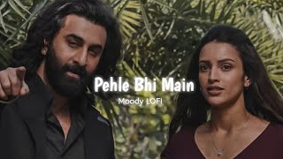 Pehle Bhi Main  Marham  Slowed  Reverb   Vishal Mishra  Animal  Moody LOFI [upl. by Keli388]