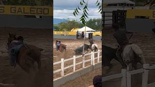 GRANDE FINAL  VAQUEJADA AO VIVO  Parque Maria Madalena Rafael Jambeiro Bahia [upl. by Ahseym]