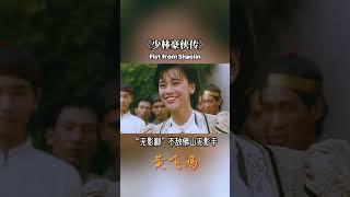 黄飞鸿佛山无影手大败洋人quot无影腿quot 少林豪侠传 黄飞鸿 kungfu wuxiaclip 功夫电影 [upl. by Oiceladni]