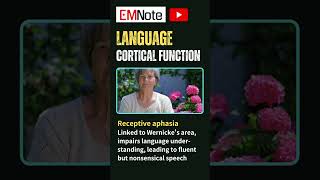 Aphasia Language Dysfunction [upl. by Stannfield801]