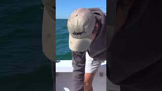 Sheepshead teeth are wild bluecreekoutdoors fishing fish ocean outdoors mississippi gulfcoast [upl. by Andri506]