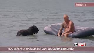 Fido beach la spiaggia per cani sul Garda bresciano [upl. by Assyral]