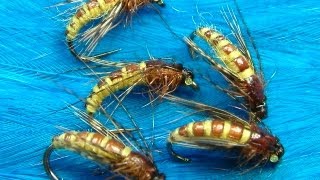 Tying the McPhail Caddis Pupa by Davie McPhail [upl. by Nevil]