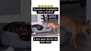 Fica nervoso não 😂 humor [upl. by Nilcaj569]