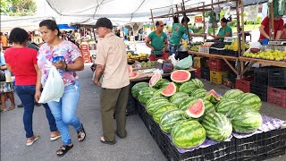 A FEIRA DE PANELAS TEM REPOLHO DE R 100 OLHA ISTO BRASIL [upl. by Notgnimer]