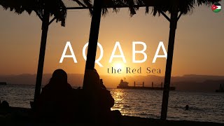 JORDANIE  AQABA  les secrets de la Mer Rouge EP66 [upl. by Riatsila754]