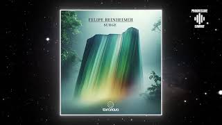 Felipe Reinheimer  Surge Original Mix Terranova [upl. by Ruiz632]