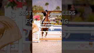 horse horseplay horsesports equestrian horseracing horseshow [upl. by Ekyt263]