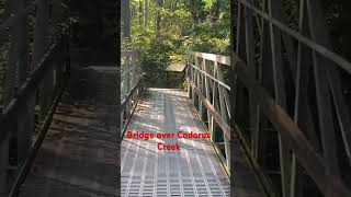 Bridge over Codorus Creek at Mary Ann Furnace Trail dayhikingandherpingdudes [upl. by Grimbly756]