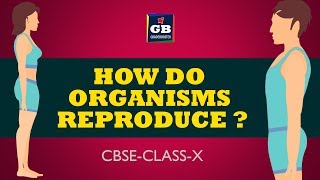 Reproductive health 10th class lesson How do organisms reproduce biology ncert class 10 science [upl. by Tnelc]