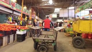 Flashmob en La Vega Central  Chile Por Fundación Mustakis [upl. by Duaner948]