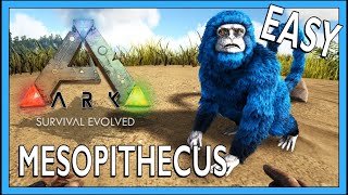 How To Tame A Mesopithecus In Ark Survival Evolved [upl. by Rinee954]