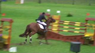 ♂ Nectar des Forets jumping stallion SF by Diamant de Semilly [upl. by Auqinihs]