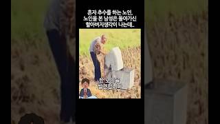 혼자 추수를 하는 노인 노인을 본 남성은 돌아가신 할아버지 생각이 나는데 감동 눈물 [upl. by Zetrom]