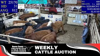 1122024  Beaver County Stockyards Livestock Auction [upl. by Ennovyhc]