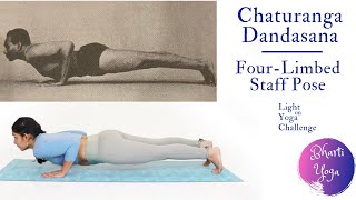 How to do Chaturanga Dandasana  Four Limbed Staff Pose  Light on Yoga Challenge  Iyengar Yoga [upl. by Anoyet908]