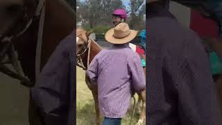 Caboolture Horse Sale “Ranger” [upl. by Ardnekal]