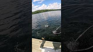 Smallmouth Nearly Jumps in Boat smallmouthbass smallmouthbassfishing perchfishing fishing fish [upl. by Attena]