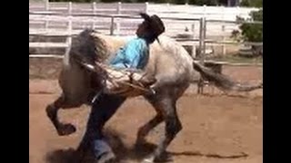 Defensive Aggression Behavior With Abused Horse Mike Hughes Auburn California [upl. by Elsilrac]