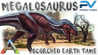 ARK SCORCHED EARTH  TAMING A MEGALOSAURUS ON THE SCORCHED EARTH [upl. by Edieh]