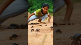 The girl found a lot of crabs 🦀🦀 camping survival outdoors lifehack [upl. by Nylrehs]