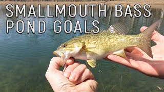 Feed Training Game Fish to Eat Out of My Hand  HUGE SHINERS and Growing Smallmouth Bass amp Perch [upl. by Reisch]