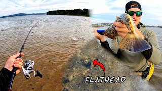 Fishing for Flathead in the shallows [upl. by Tatum]