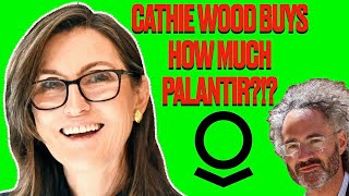 Cathie Wood Buys HOW MUCH more PALANTIR STOCK [upl. by Naujet]