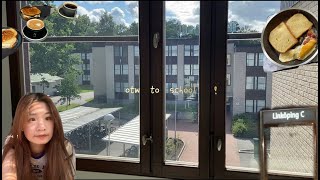 林雪平大學暑期交換生活！exchange student vlog in Linköping 🇸🇪 [upl. by Cerelia]