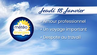 • Amour professionnel • Un voyage important • Despote au travail [upl. by Ellinnet]