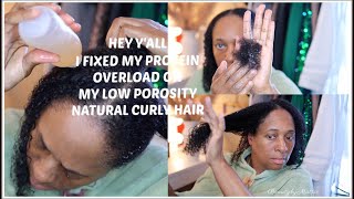 I Developed Protein Overload On Natural Hair  It Was Horrible  3 Steps On How To Fix It 2021 [upl. by Lennahs]