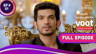 Naagin S1  नागिन S1  Ep 1  A Mysterious Woman Haunts Ritik [upl. by Anderea639]