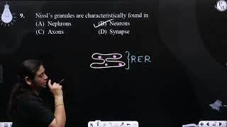 Nisslamprsquos granules are characteristically found in [upl. by Mulac]