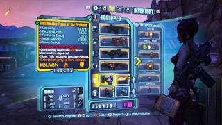 Borderlands 2  Shields Explained  Beginners Guide [upl. by Jamel849]