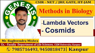 Lambda Vectors  Cosmids  𝐌ethods in 𝐁𝐢𝐨𝐥𝐨𝐠𝐲  𝐂𝐒𝐈𝐑𝐍𝐄𝐓𝐉𝐑𝐅  𝐆𝐀𝐓𝐄  𝐈𝐈𝐓𝐉𝐀𝐌 [upl. by Mahda]