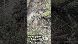 Bigfoot jigsaw branch placement bigfoot shortsvideo [upl. by Annaxor205]