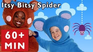 Itsy Bitsy Spider  More  Nursery Rhymes from Mother Goose Club [upl. by Pratt]