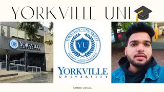 Yorkville University 🇨🇦🇨🇦🇨🇦yorkvilleuniversity tour canada internationalstudents viral ytindia [upl. by Yeroc331]